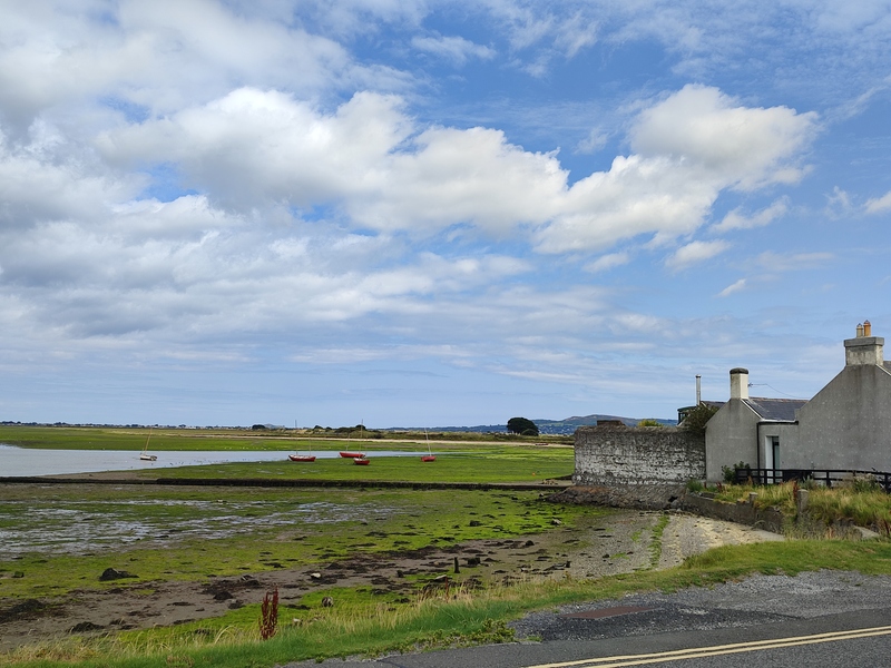 Monatsrückblick Juli 2025, Bull Island, Clontarf